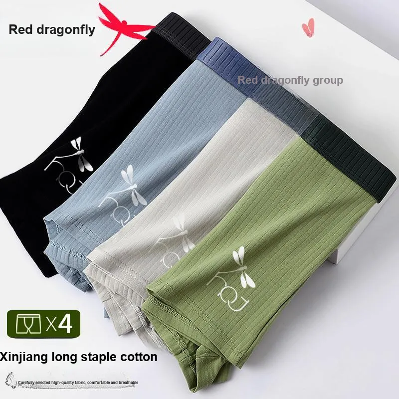 RED DRAGONFLY Cotton Panties Men's Box 3 Pack-2