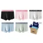 Black+Pink+Ice Blue+White+Gray Green