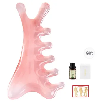 LMLTOP Four in One Multifunction Meridian Comb Massage