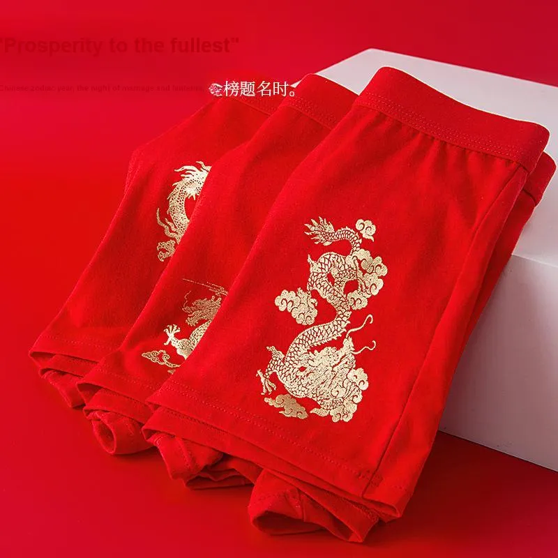 Lanza Underpants Men's 1 Pack Auspicious Year Of The Dragon-3