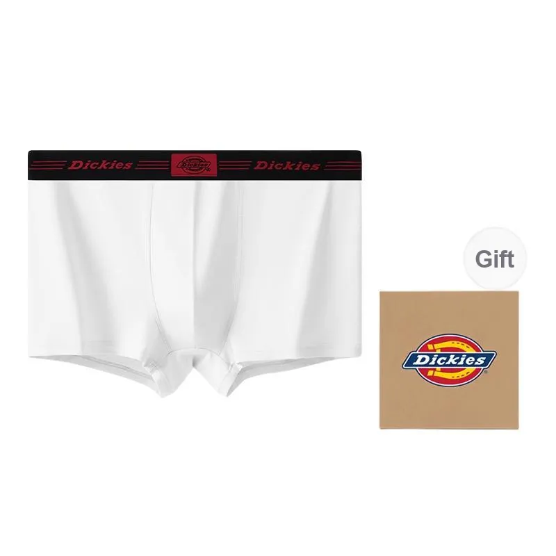 Dickies Underpants Men's Combo Set-10