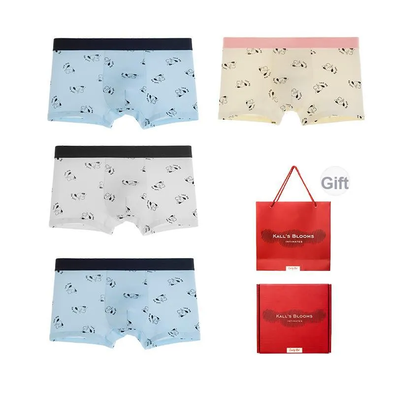 Maiden House Underpants Men's Box 4 Pack