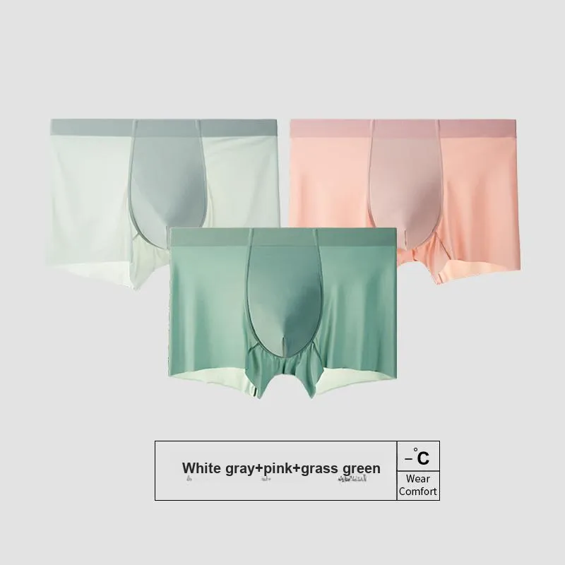 Icolor Men Underpants-3