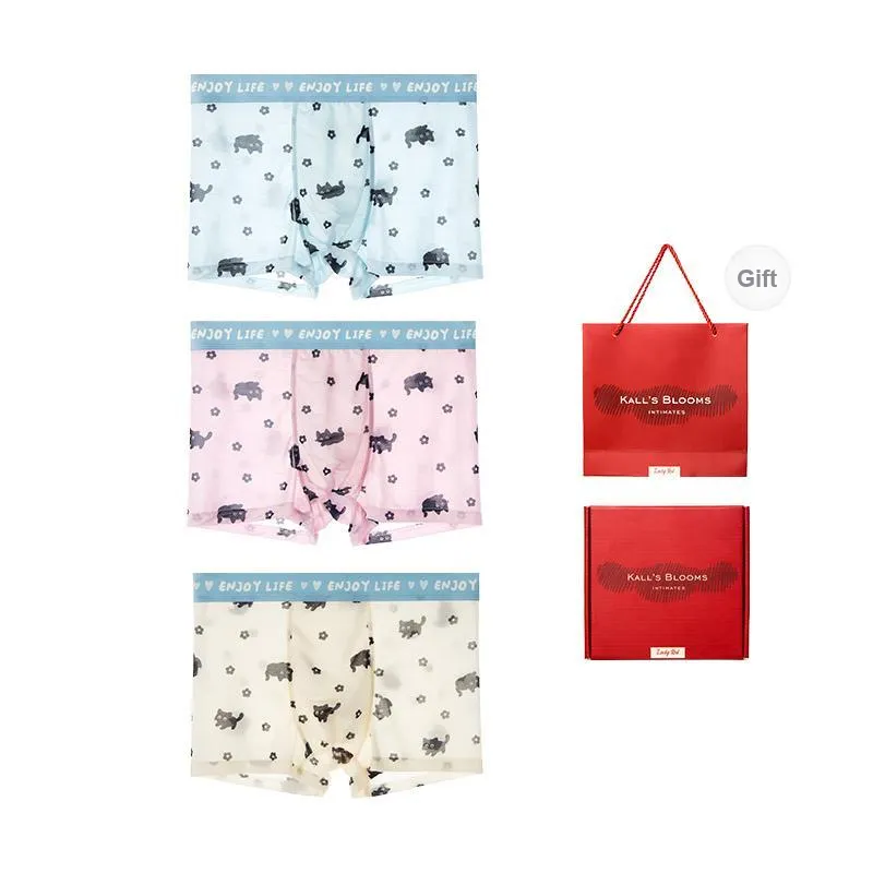 Maiden House Underwear Gift Box Men's Box 3 Pack-0