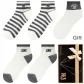 Stripes 2 English 2 Ecru (5 Pack)