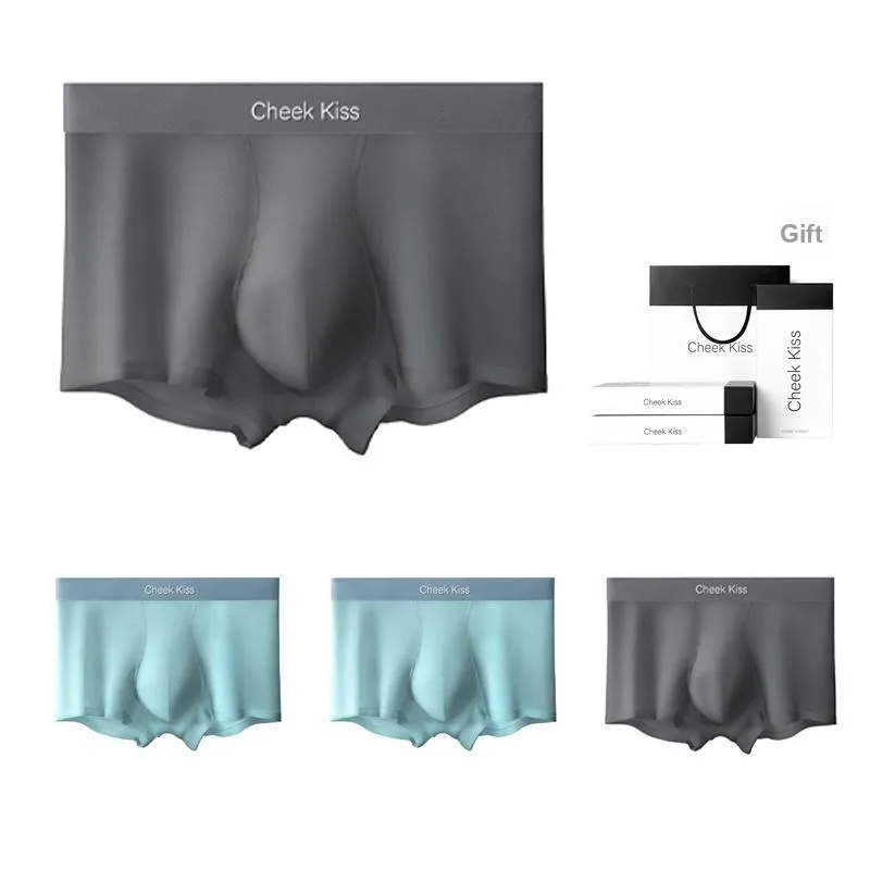 Cheekkiss Underwear Gift Boxes Men's 4 Pack-10
