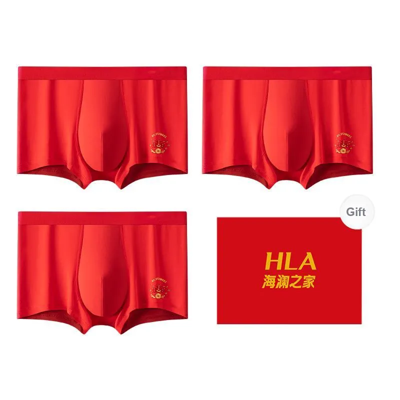 HLA Men Underpants-4