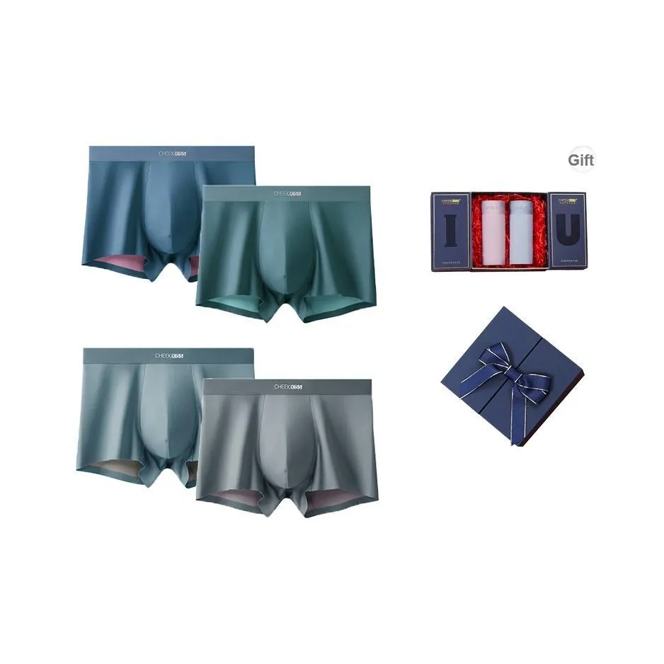 Cheekkiss Underwear Gift Boxes Men's 4 Pack