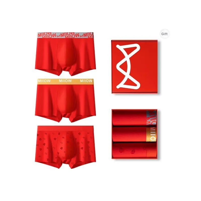 MIIOW Boxer Briefs Men's Box 3 Pack-8