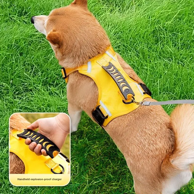 Hippie dogs Leashes-1