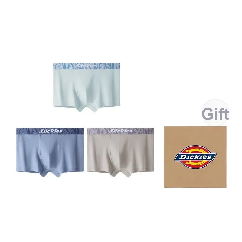 Dickies Underpants Men's Box 3 Pack-30