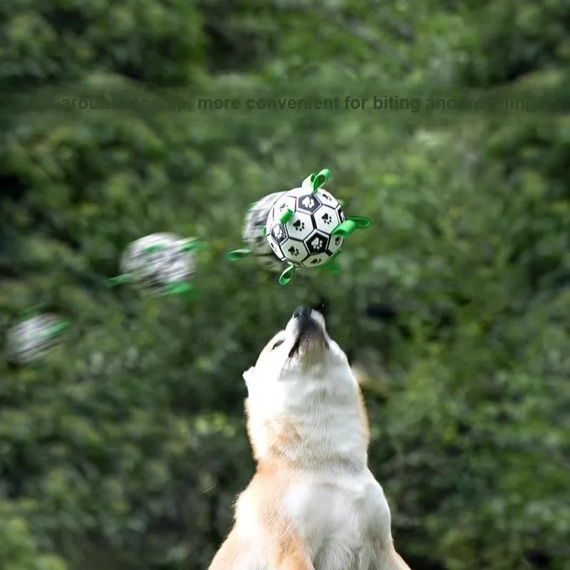 Hippie dogs Pet Toys-9