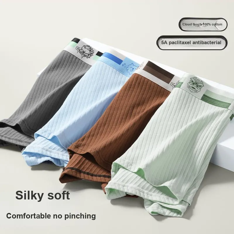 AUGTARLION Underpants Men's 3 Pack-3