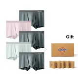 5 Pack (Gray Green *1+Gray Pink *1+Gray Black *3)