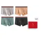 Light Gray-Apricot Yellow-Gray Green-Black