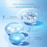 카멜리아 하이드레이팅 페이스 크림 50g X 2