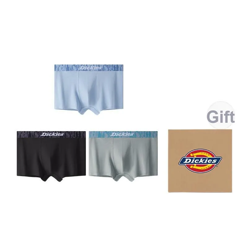 Dickies Underpants Men's Box 3 Pack-35