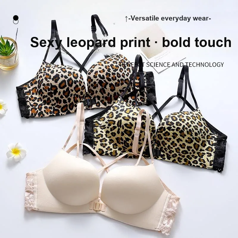 Lanza Women's Bras-1