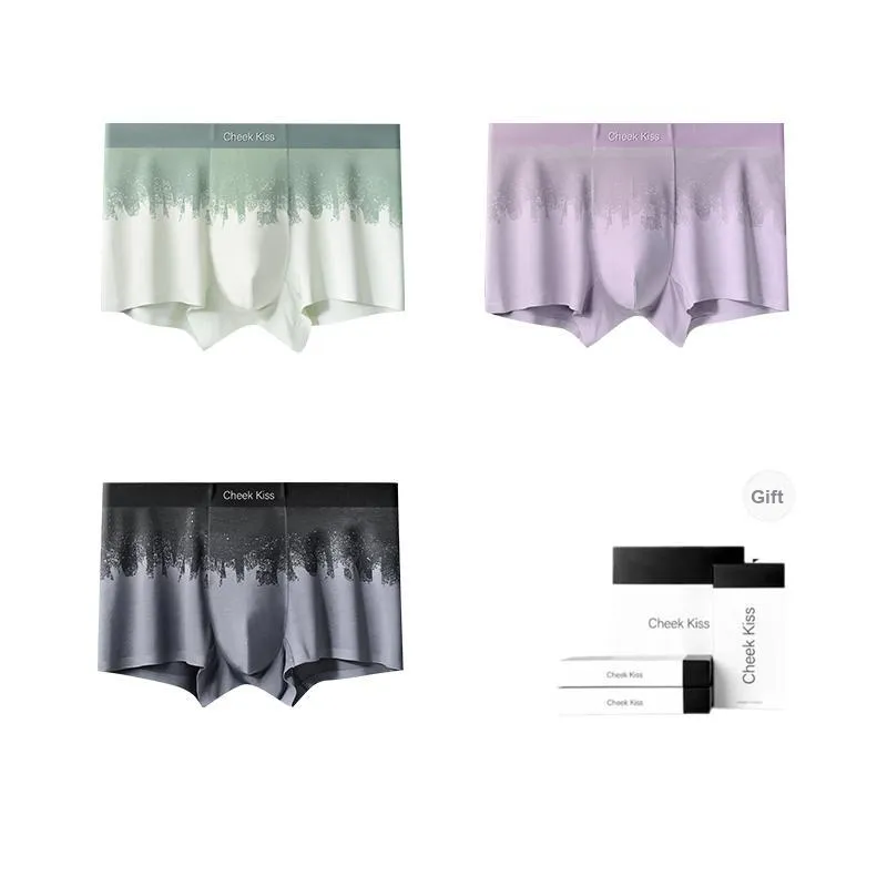 Cheekkiss Underwear Gift Boxes Men's 3 Pack-12