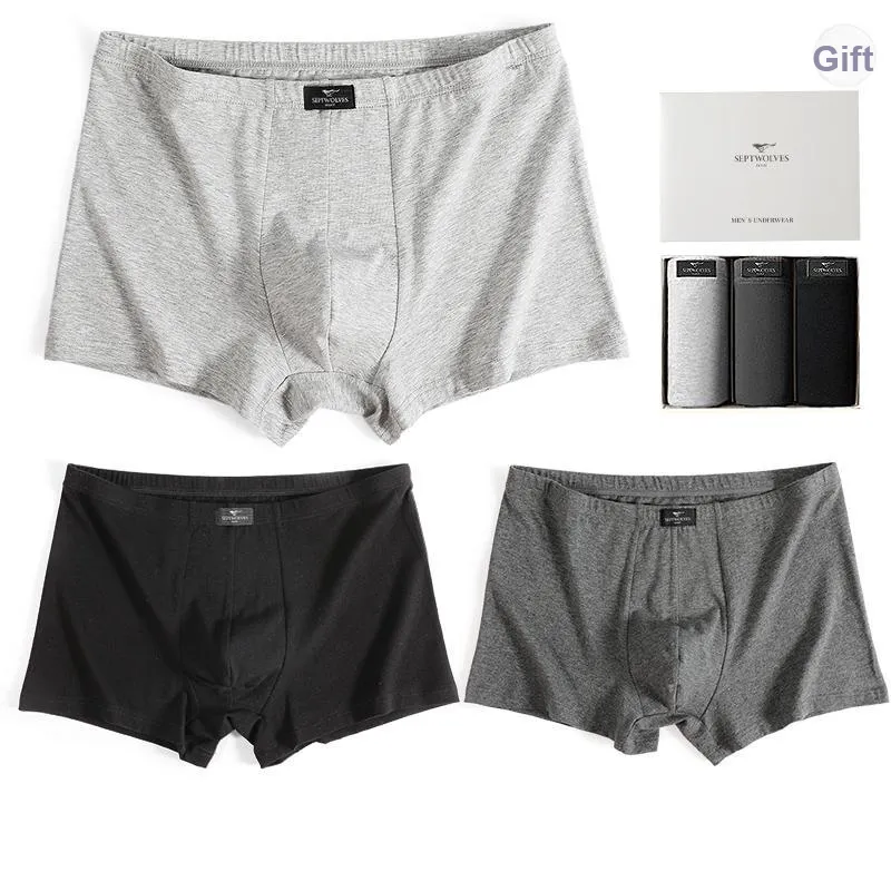 SEPTWOLVES Underwear Gift Box Men's-4