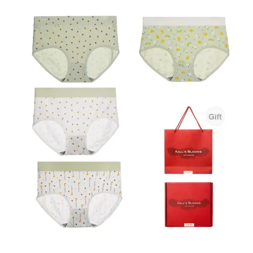 Maiden House Women's Underpants