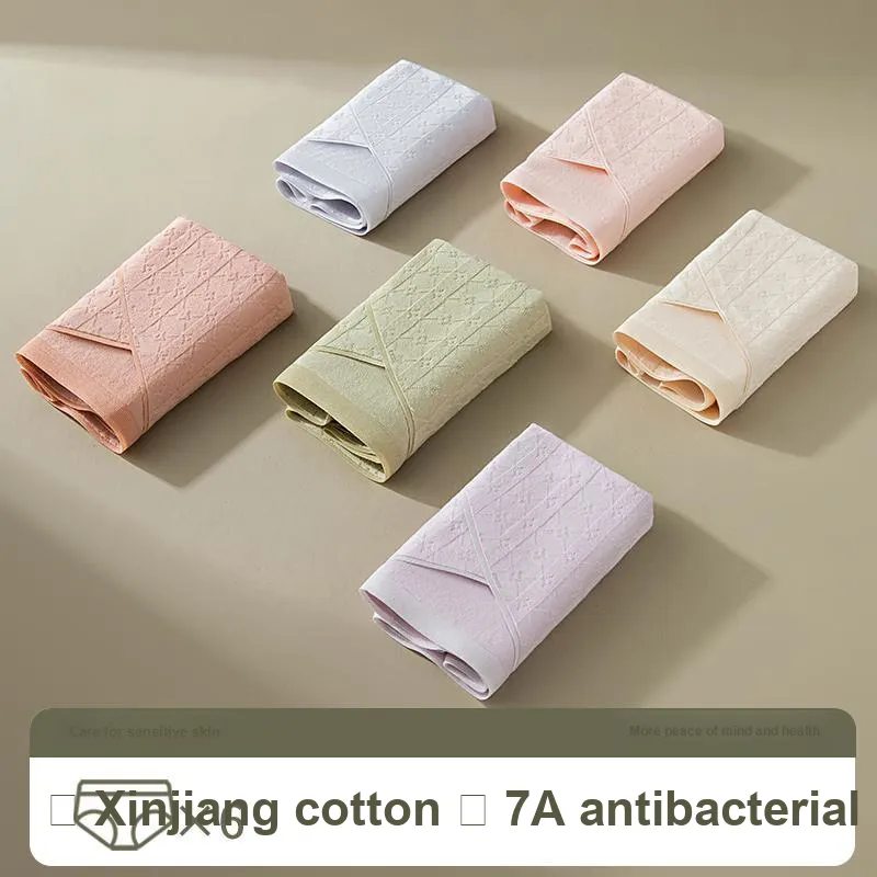 2323 Underpants Women's Combo Set-6