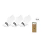[Women's]White Monochrome *3 (3 Pack)