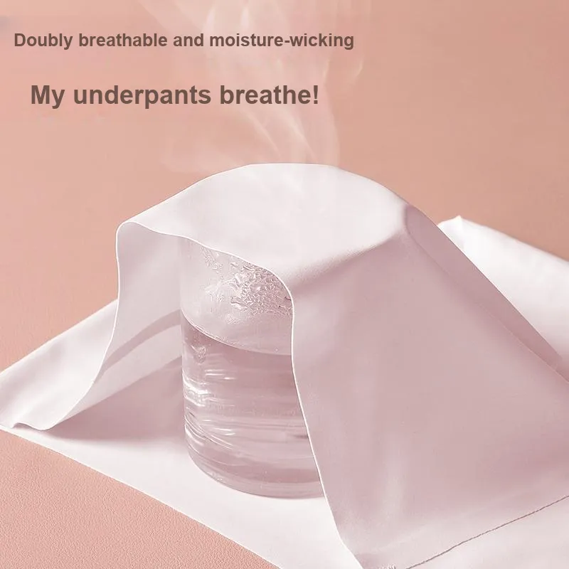 Lee Underpants Women's Box 3 Pack-2