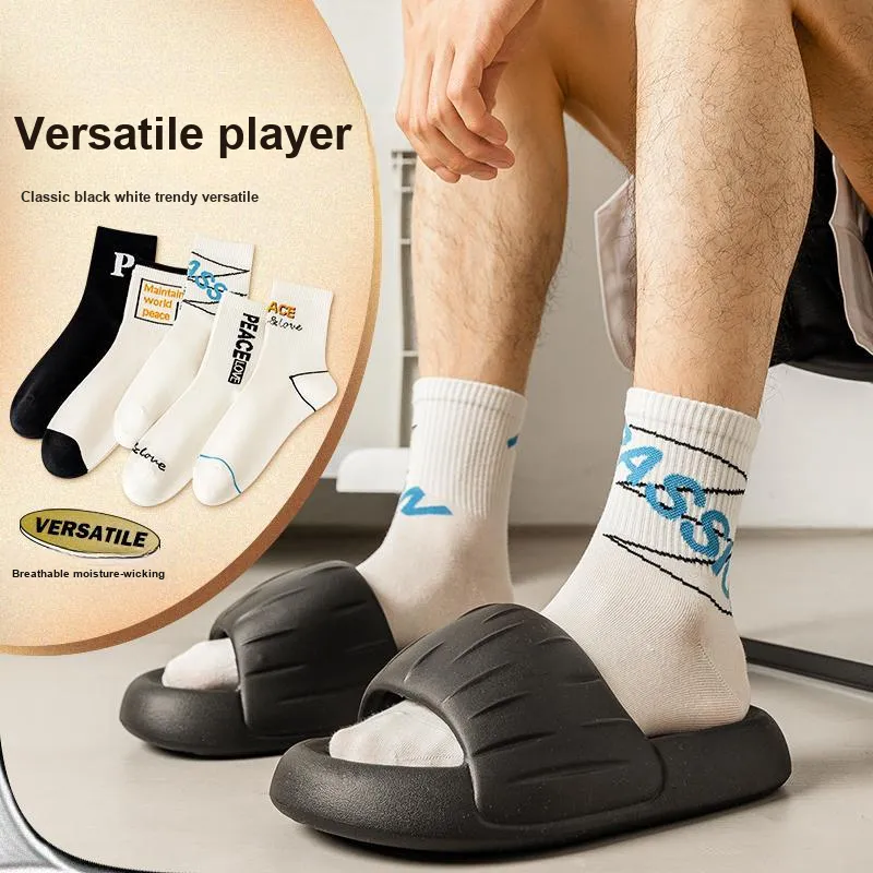 The Temptation Of The Muse Mid Calf Socks Men's 5 Pack-1