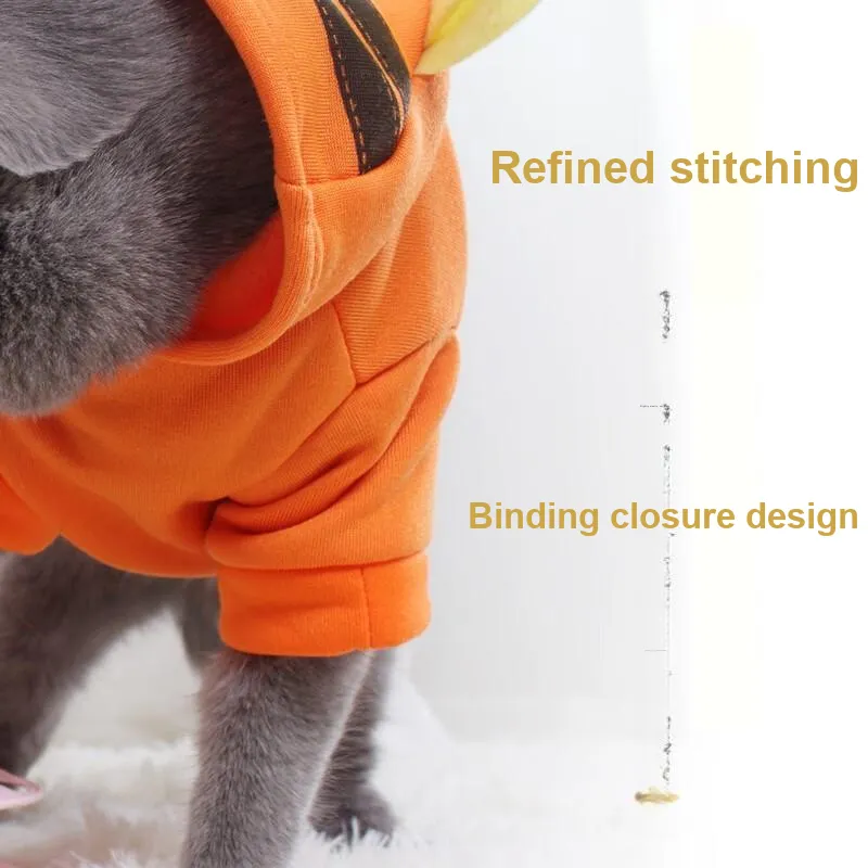 Pampering Pet Clothing-5