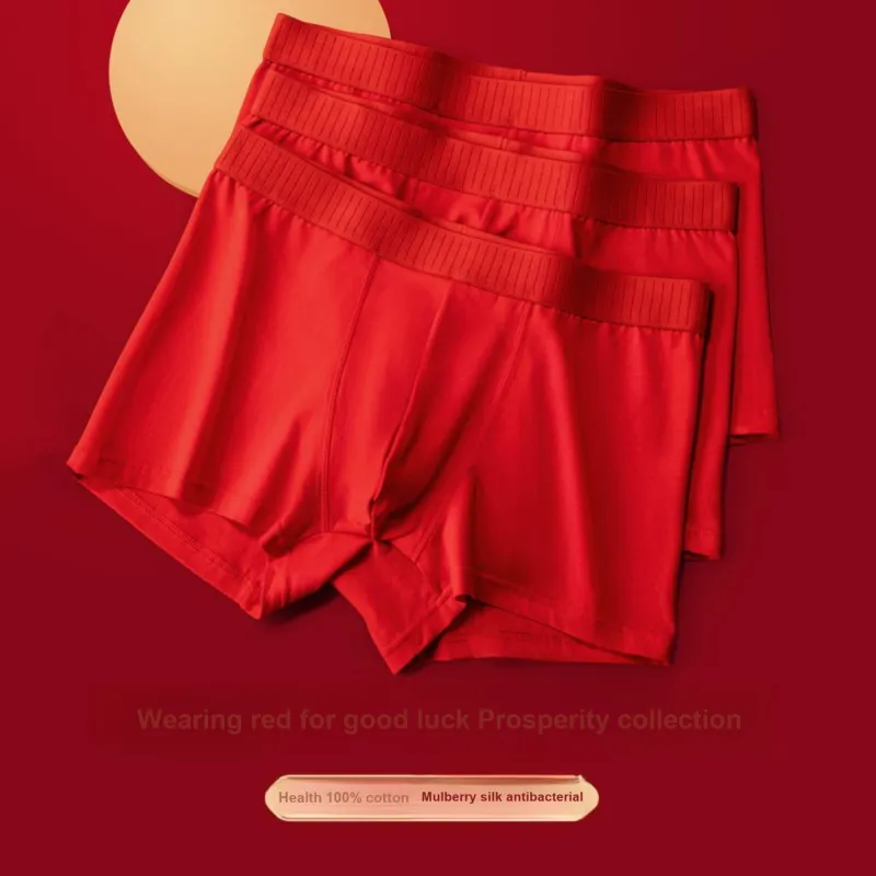 LUYOUYE Underpants Men's 3 Pack-13