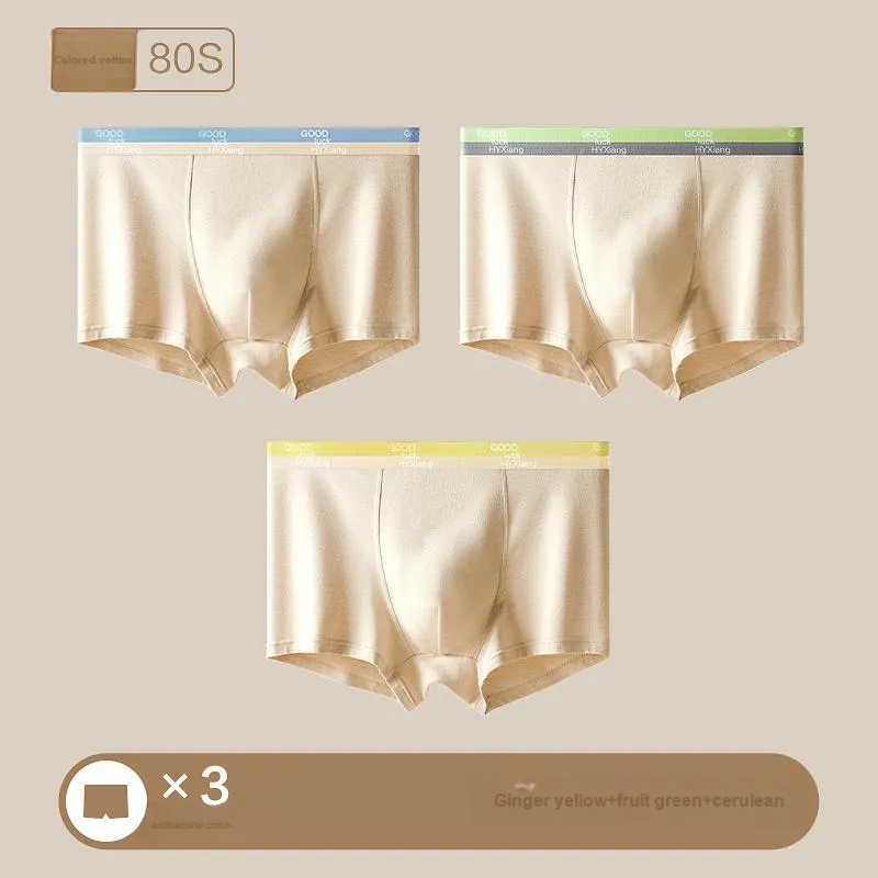 H-YXIANG Underpants Men's 3 Pack-3