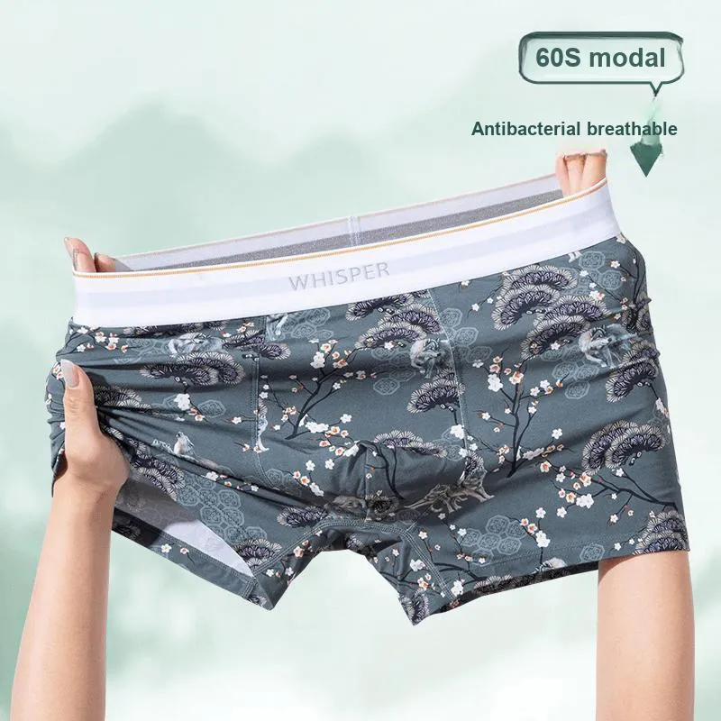 ROBINHOOD Underpants Men's 3 Pack-16