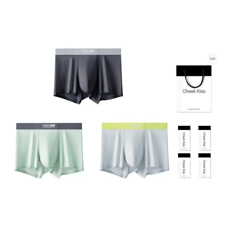 Cheekkiss Underpants Men's Box 3 Pack-9