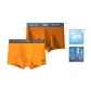 247 Orange+243 Orange (Refined Box 2 Pack)