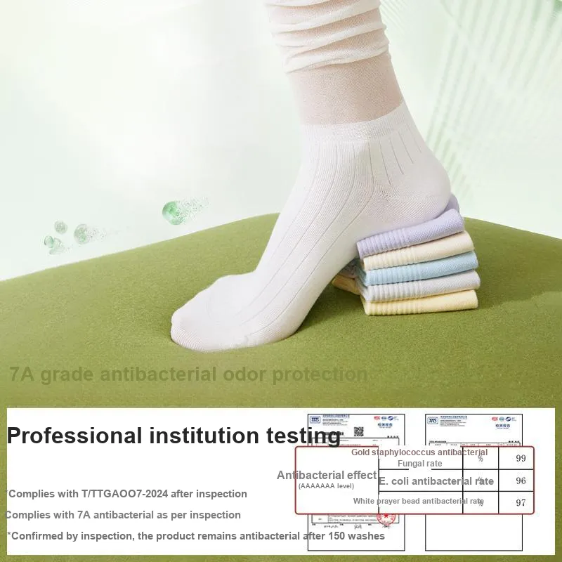 B&C.Room Knee High Socks Women's 2 Pack-4