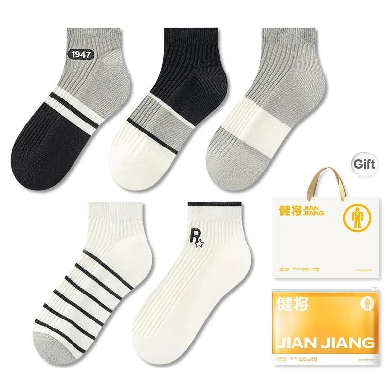 Master Mid Calf Socks Men's Box 5 Pack-24
