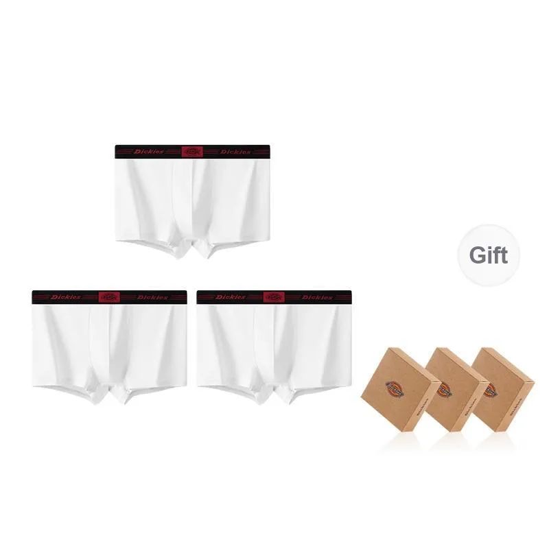 Dickies Underpants Men's Combo Set-40