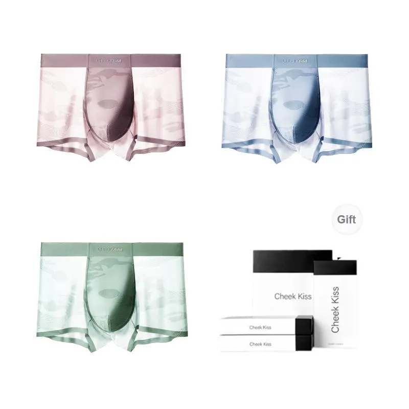 Cheekkiss Underpants Men's Box 4 Pack-26
