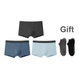 Men's Underpants 3 Pack (Dove Feather Gray+Smoke Blue+Cobalt Blue)
