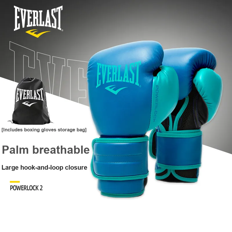 Everlast Boxing Gloves-6