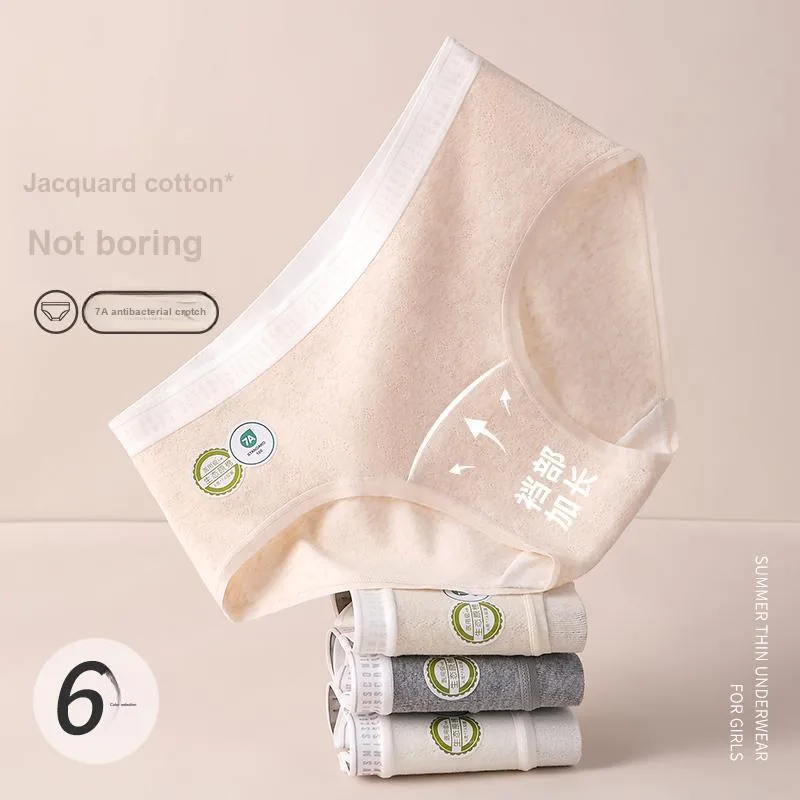 MIIOW Underpants Women's 5 Pack-1