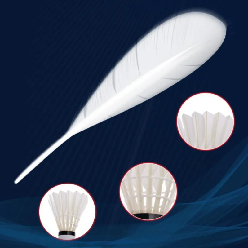 LiNing A+60 Goose Feather Shuttlecock 12 Pack Goose Feather Match Ball Shuttlecocks-3