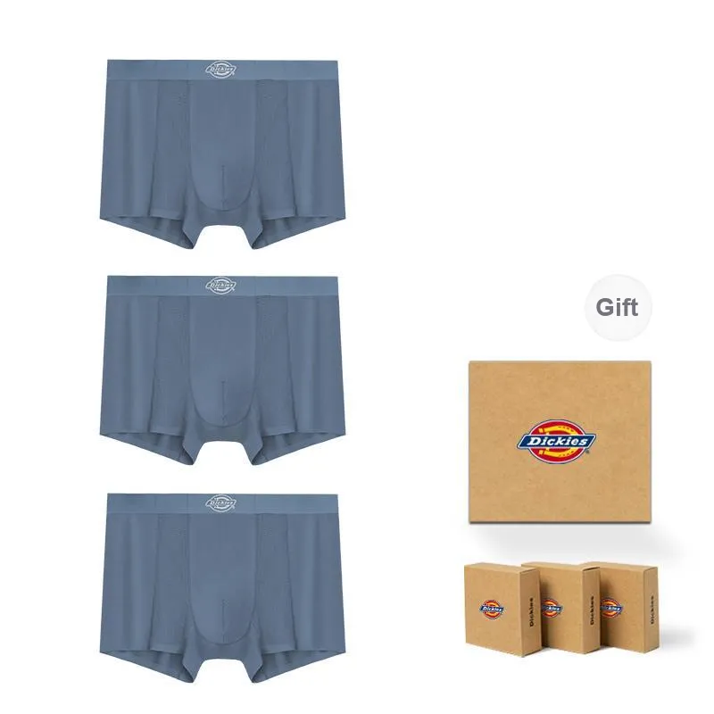 Dickies Underpants Men's Skin Friendly Minimalist Style Comfortable Modal Boxer Shorts Box Combo Set-1