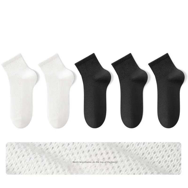 B&C.Room Mid Calf Socks Men's 5 Pack-4