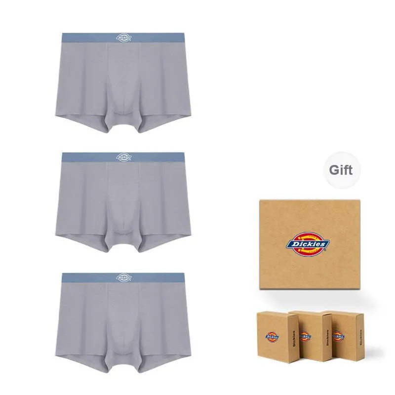 Dickies Underpants Men's Box 3 Pack-5