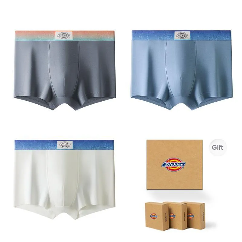 Dickies Underpants Men's Gift Box Combination-41