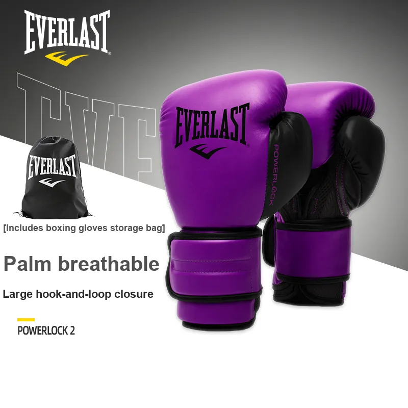 Everlast Boxing Gloves-10