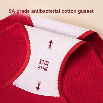 Ordifen Underpants Women's 3 Pack