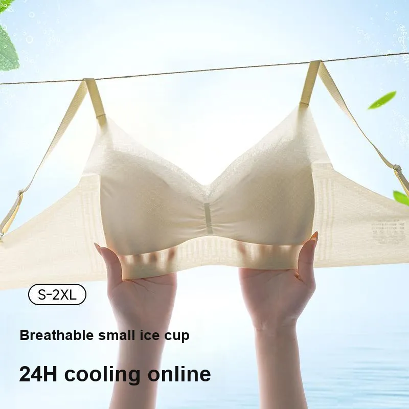 David Women's Bras-12